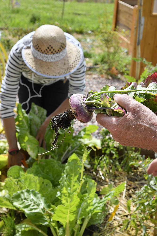 Atelier jardinage au sein des Résidences Services Seniors Occitalia