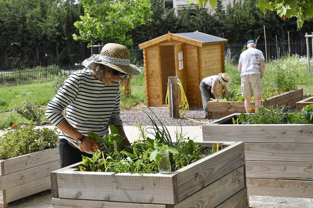 Atelier jardinage à l'Orangerie du Château Levât à Montpellier, Résidence Services Seniors Occtialia