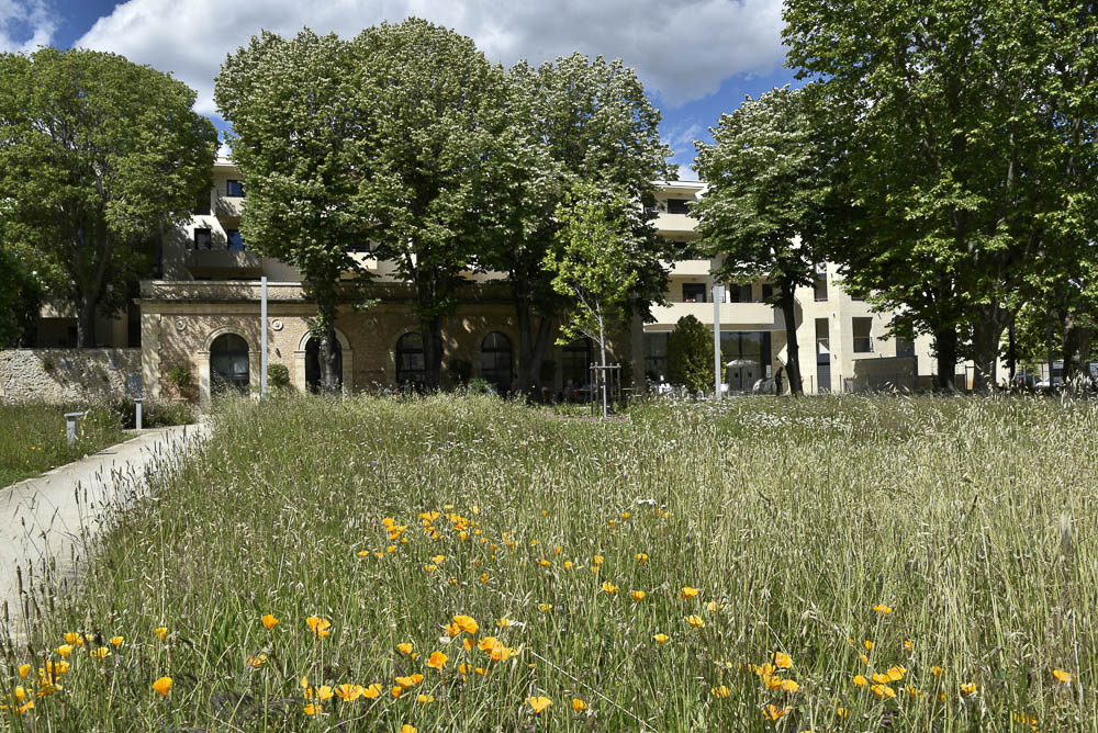 Résidence Services Seniors l'Orangerie du Château Levât aux beaux-arts à Montpellier