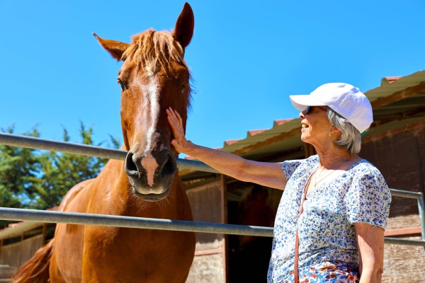 Visite du Haras d'Uzès avec les résidents Occitalia, Le Domaine d'Ucétia