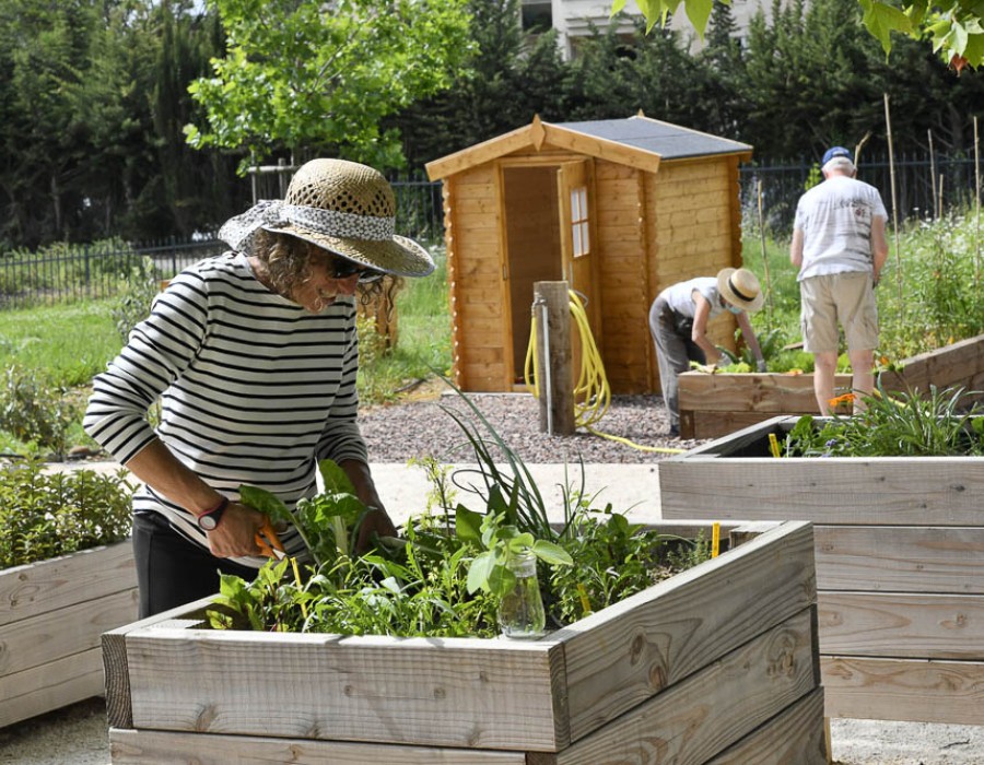 L'Orangerie du Château Levat - Résidence Seniors Montpellier - atelier jardinage