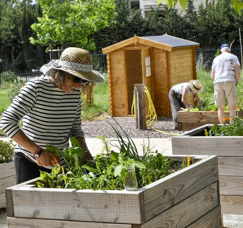 Pourquoi choisir l'orangerie